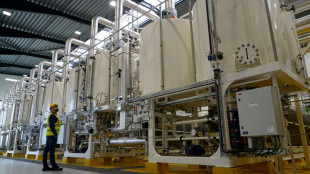 D&auml;nemark er&ouml;ffnet Gro&szlig;anlage zur Herstellung von gr&uuml;nem Wasserstoff