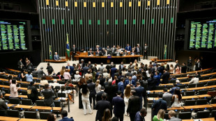 Brasil elege pr&oacute;ximo Congresso, que pode definir destino de Jair Bolsonaro