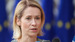 Kallas, 'Aspides pu&ograve; essere contributo Europa ai volenterosi Hormuz'