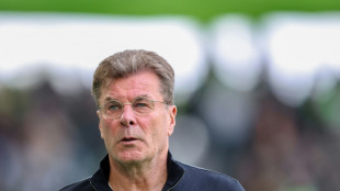 Hecking wird Sportchef in Wolfsburg
