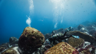 Frente a Madeira, cient&iacute;ficos en la primera l&iacute;nea de la protecci&oacute;n de los oc&eacute;anos