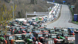 Agricultores franceses y espa&ntilde;oles bloquean la frontera para "tener peso" en elecciones europeas