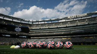 Zugticket f&uuml;r Fahrt zum New Yorker WM-Fu&szlig;ballstadion soll nun 105 Dollar kosten