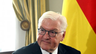 Steinmeier hofft auf greifbare Ergebnisse der Gespr&auml;che von Scholz und Merz