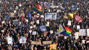 Nach Verfassungsschutz-Bewertung: B&uuml;ndnisse planen Demonstrationen f&uuml;r AfD-Verbot