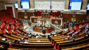Frankreichs Regierung &uuml;bersteht Misstrauensvoten - Haushalt verabschiedet