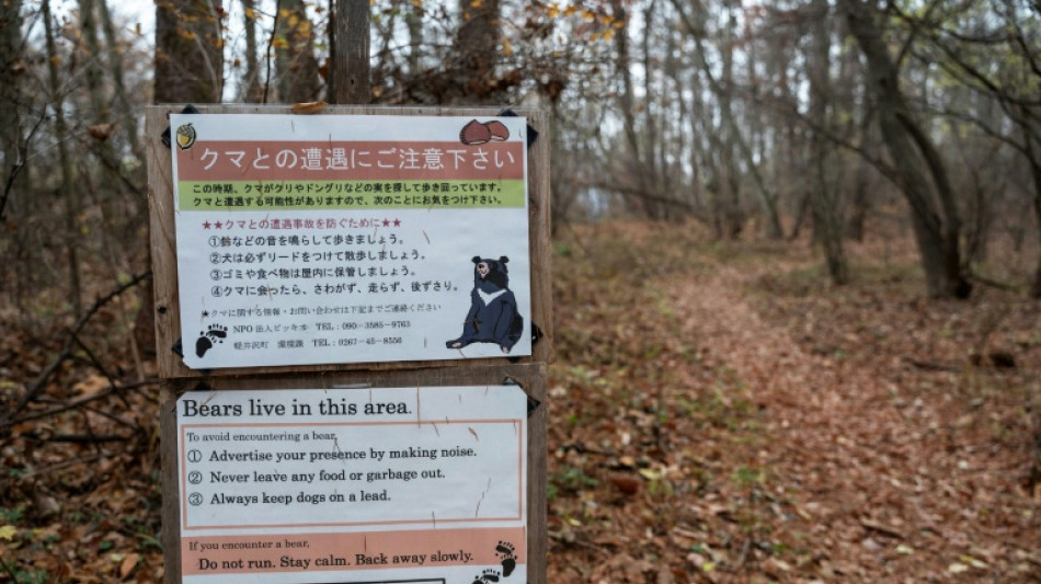 Japon: deux morts dans des attaques d'ours pr&eacute;sum&eacute;es