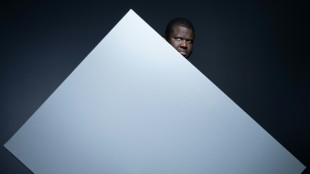 Aumentan las ventas en Francia del libro escrito supuestamente con IA