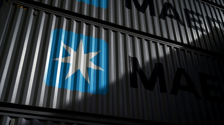 La empresa Maersk desviar&aacute; sus buques hacia el cabo de Buena Esperanza para evitar el mar Rojo