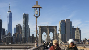 Uomo armato si arrampica sul ponte di Brooklyn, polizia lo uccide