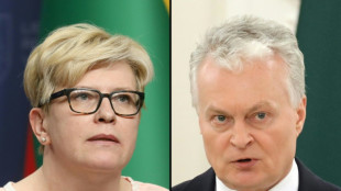 Stichwahl um die Pr&auml;sidentschaft in Litauen