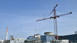 Ucrania comienza la construcci&oacute;n de dos reactores nucleares dise&ntilde;ados por Estados Unidos