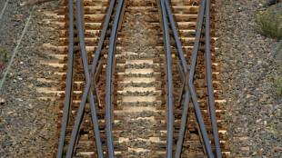 Mehr als 220 Euro pro Kopf: Investitionen in Schienennetz weiter gestiegen