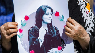 L'Iran annonce l'arrestation de plusieurs &eacute;trangers li&eacute;s aux manifestations