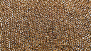 Zoll entdeckt mehr als eine Million illegale Zigaretten in Geschirrsp&uuml;lerkartons