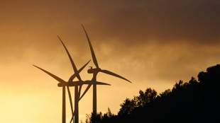 La energ&iacute;a limpia impuls&oacute; el crecimiento chino en 2023, seg&uacute;n un informe