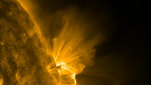 Tempesta solare si abbatte sulla Terra, &egrave; la pi&ugrave; potente dal 2003