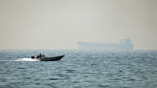 Ship crews ration food in Iran blockade: seafarers