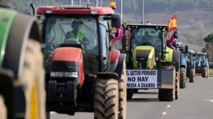 Los agricultores espa&ntilde;oles mantienen las movilizaciones tras reunirse con el ministro