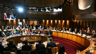 Discuten en Chile un plan de protecci&oacute;n a los defensores del medioambiente en Latinoam&eacute;rica