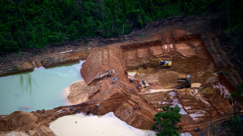 La deforestaci&oacute;n en la Amazon&iacute;a brasile&ntilde;a cay&oacute; en 2025 a su menor nivel en seis a&ntilde;os