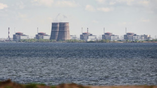 Ukraine: risques accrus autour de la centrale nucl&eacute;aire de Zaporijjia