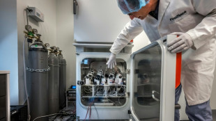 'Wetware': Scientists use human mini-brains to power computers