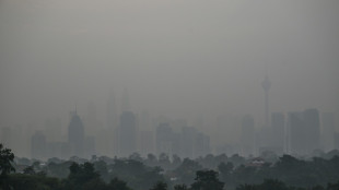 Haze triggers highest-level alert in parts of Southeast Asia: monitor