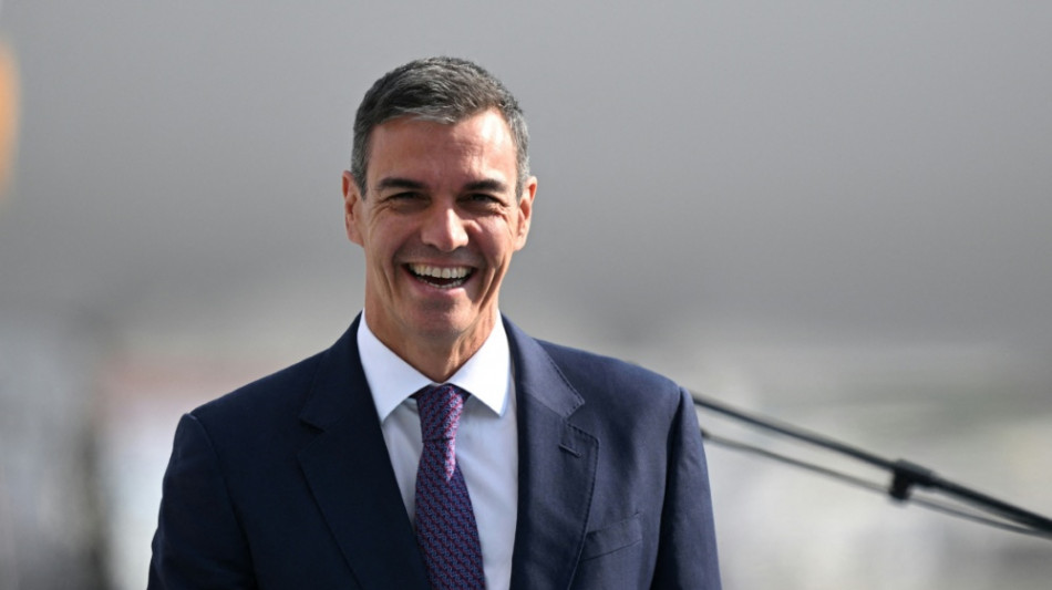 Spaniens Ministerpr&auml;sident S&aacute;nchez kommt zum WM-Finale