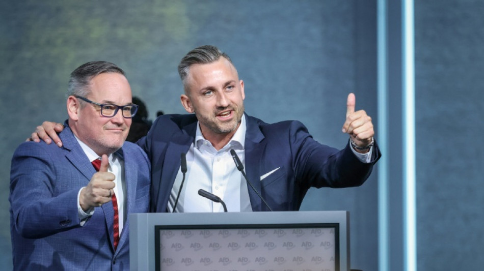 Foto mit erhobenem Arm: R&uuml;cktrittsforderungen an Sachsen-Anhalts AfD-Chef Reichardt