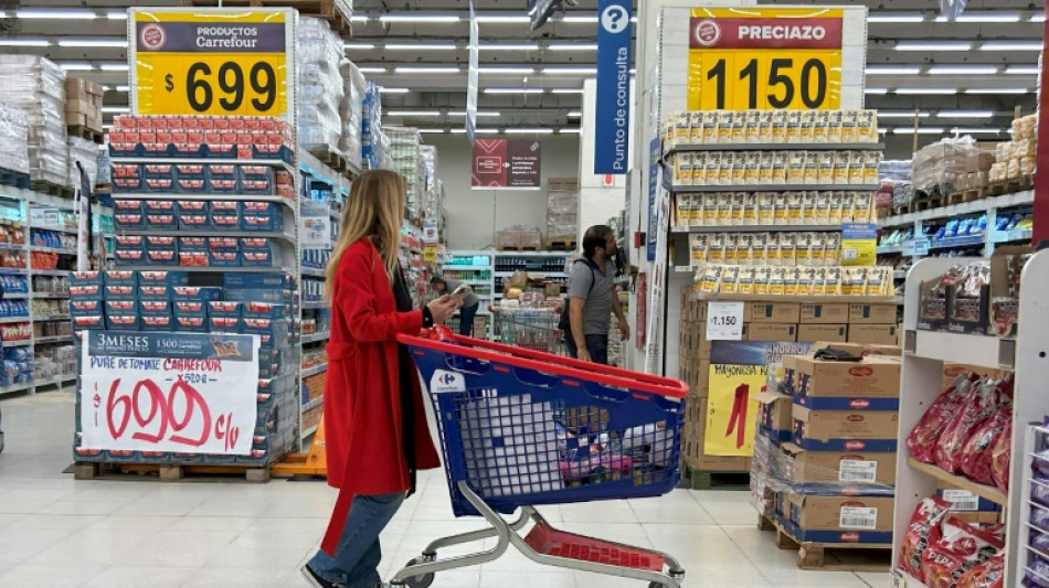 El FMI espera que la econom&iacute;a argentina "empiece a crecer" en el segundo semestre