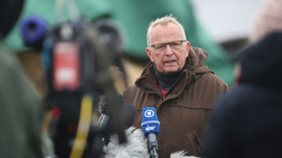 Verendeter Buckelwal Timmy wird am Donnerstagnachmittag obduziert