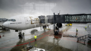 Dinamarca introducir&aacute; un impuesto ecol&oacute;gico sobre los billetes de avi&oacute;n
