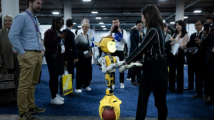 La feria CES busca robots ni demasiado humanos ni demasiado m&aacute;quinas