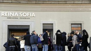 Embajada de Israel en Espa&ntilde;a critica programa "propalestino" de Museo Reina Sof&iacute;a