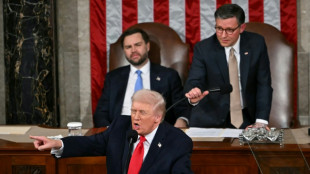 Division, theater and one golden moment as Trump addresses Congress