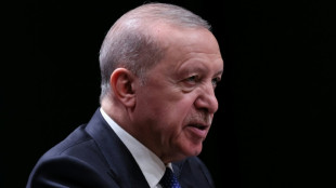 Presidente da Turquia concorrer&aacute; a novo mandato apesar de limite constitucional