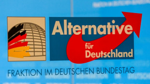 AfD verliert Verfahren um Millionenspende gegen Bundestag vor Verwaltungsgericht