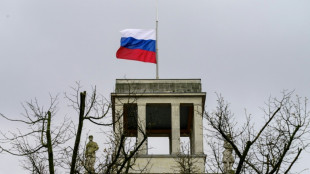 Russischer Botschafter droht mit "weitreichenden Konsequenzen" bei Verm&ouml;gens-Nutzung