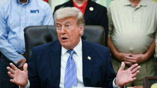 Trump: USA entsenden "5000 zus&auml;tzliche Soldaten nach Polen"
