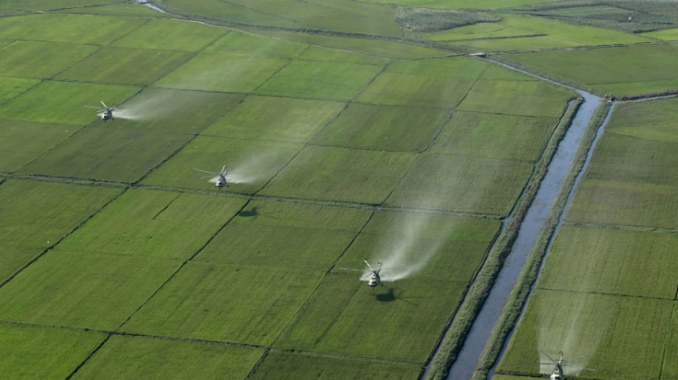 El l&iacute;der norcoreano visita plantaciones golpeadas por un tif&oacute;n en un contexto de escasez