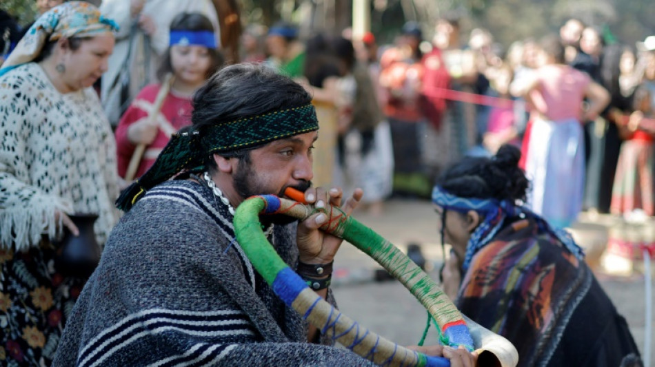 L&iacute;deres ind&iacute;genas concluyen una peregrinaci&oacute;n mundial en Chile con un rezo por la naturaleza
