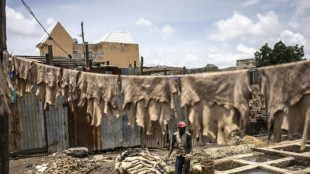 Pl&eacute;biscit&eacute; par les grandes maisons de luxe, le cuir "Made in Nigeria" se trace un avenir local