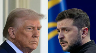 Trump y Zelenski discutir&aacute;n en Florida un plan de alto el fuego con Rusia