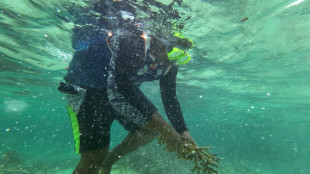 Tiny Fiji village restores dying fishery with coral planting