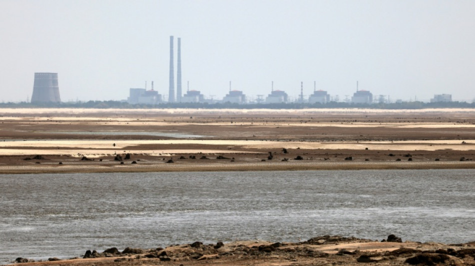 La central nuclear ucraniana de Zaporiyia se reparará "pronto", según el OIEA