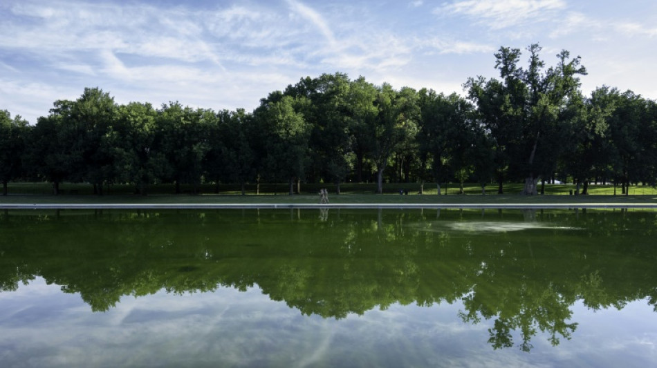 Algen-Wasser in renoviertem Becken in Washington: Trump droht mit Haftstrafen