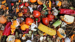 In Italia si spreca cibo per 13,5 miliardi di euro, oltre la met&agrave; nelle case