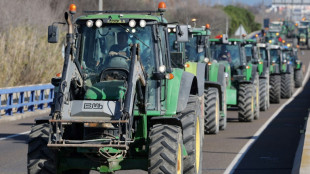 Agricultores espa&ntilde;oles vuelven a movilizarse y a bloquear carreteras
