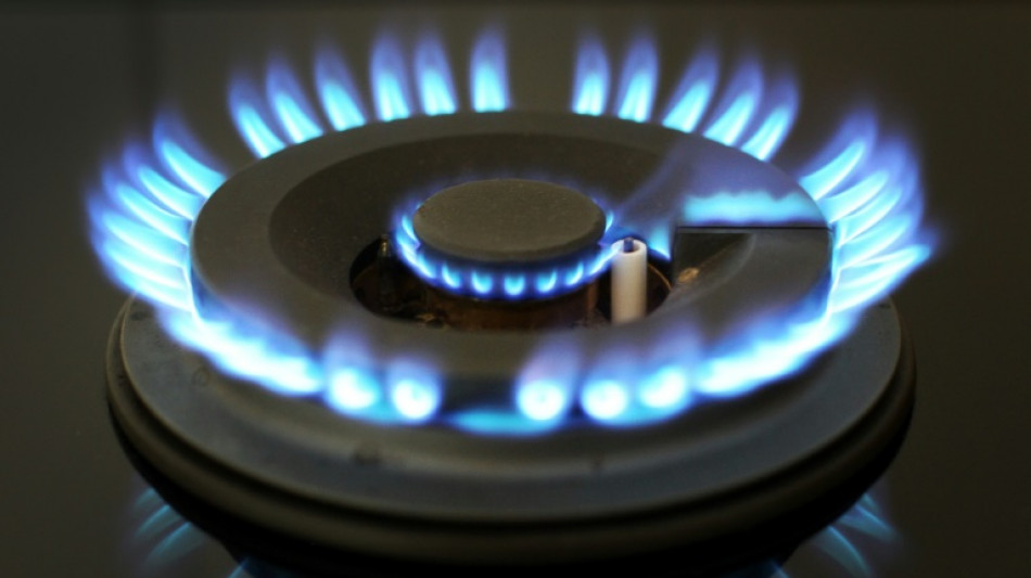 Ifo-Institut: Gaspreisbremse wird f&uuml;r den Staat viel billiger als gedacht 